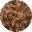 Chestnut