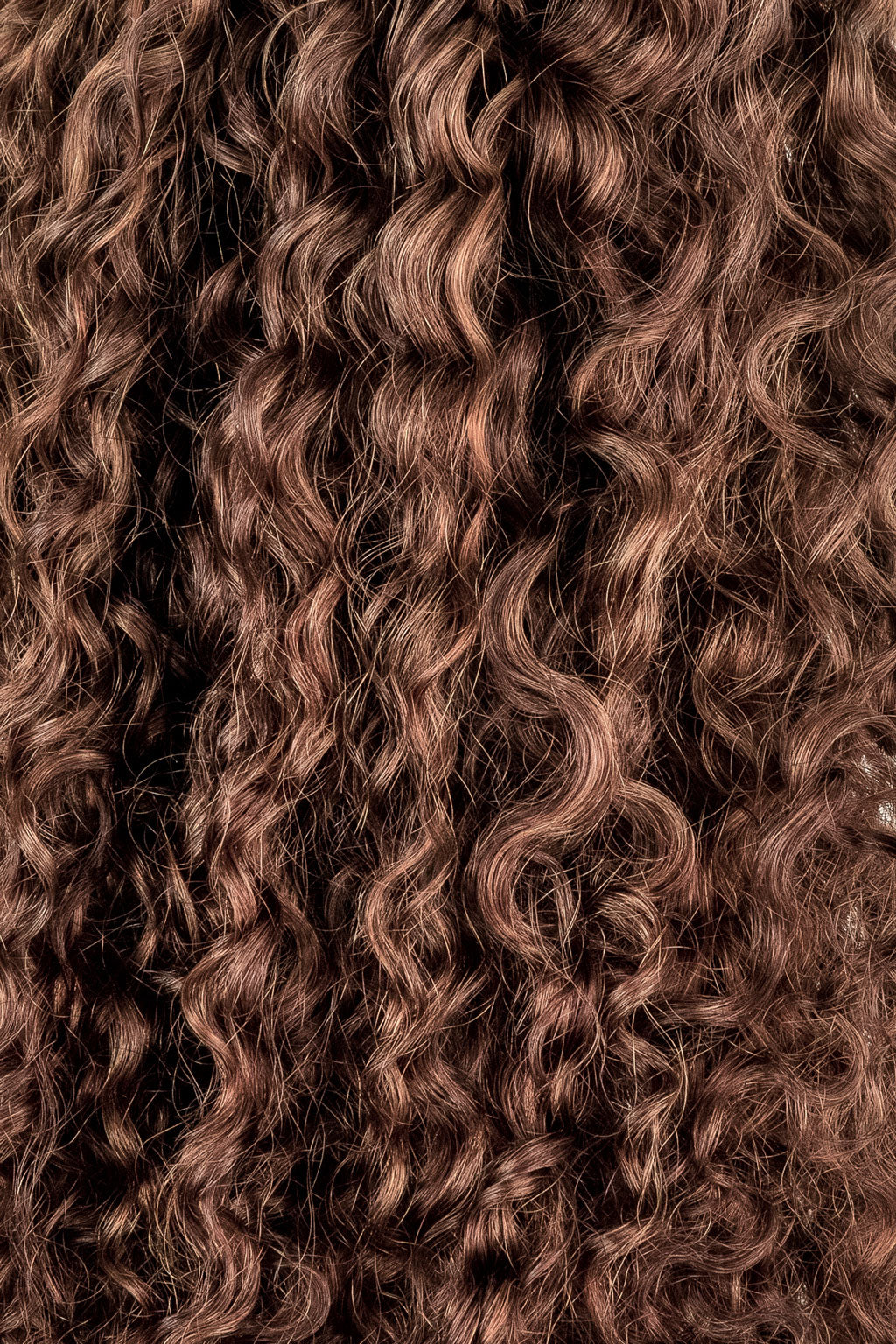 Highlighted Brown Ringlet Clip-In Hair Extensions