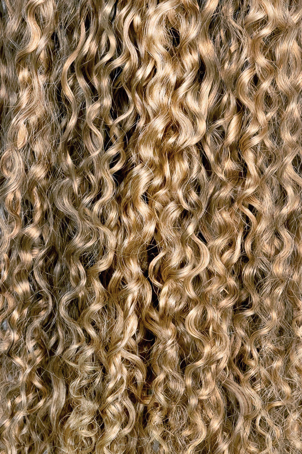 Ash Blonde Ringlet Clip-In Hair Extensions