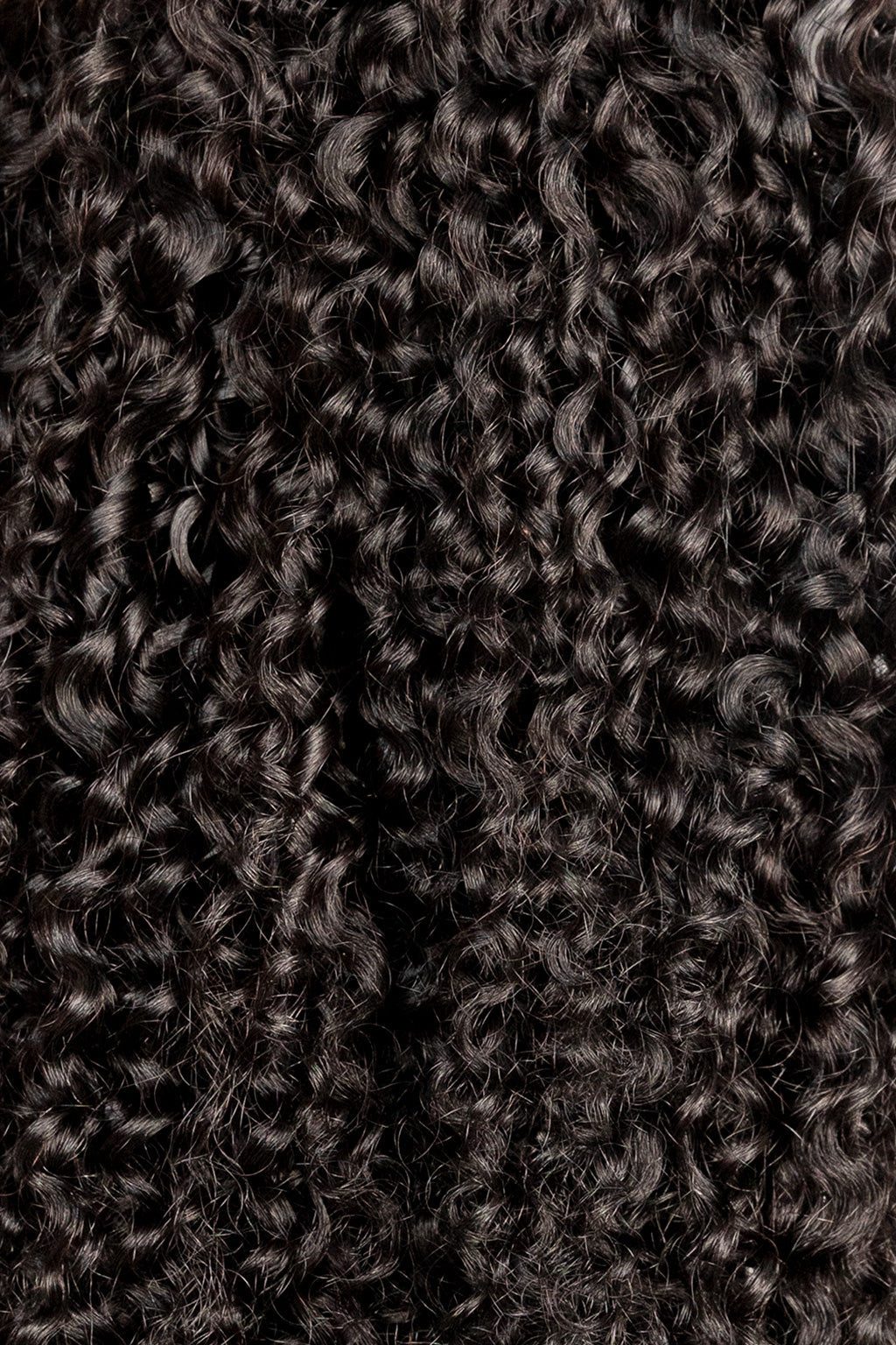 Natural Black Ringlet Clip-In Hair Extensions