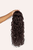 Curly Ponytail Neutral Dark Brown